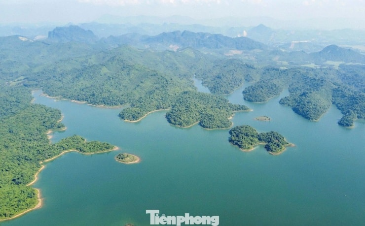 Пишна зелена рослинність покриває острови та прибережні райони Бен-Ена.