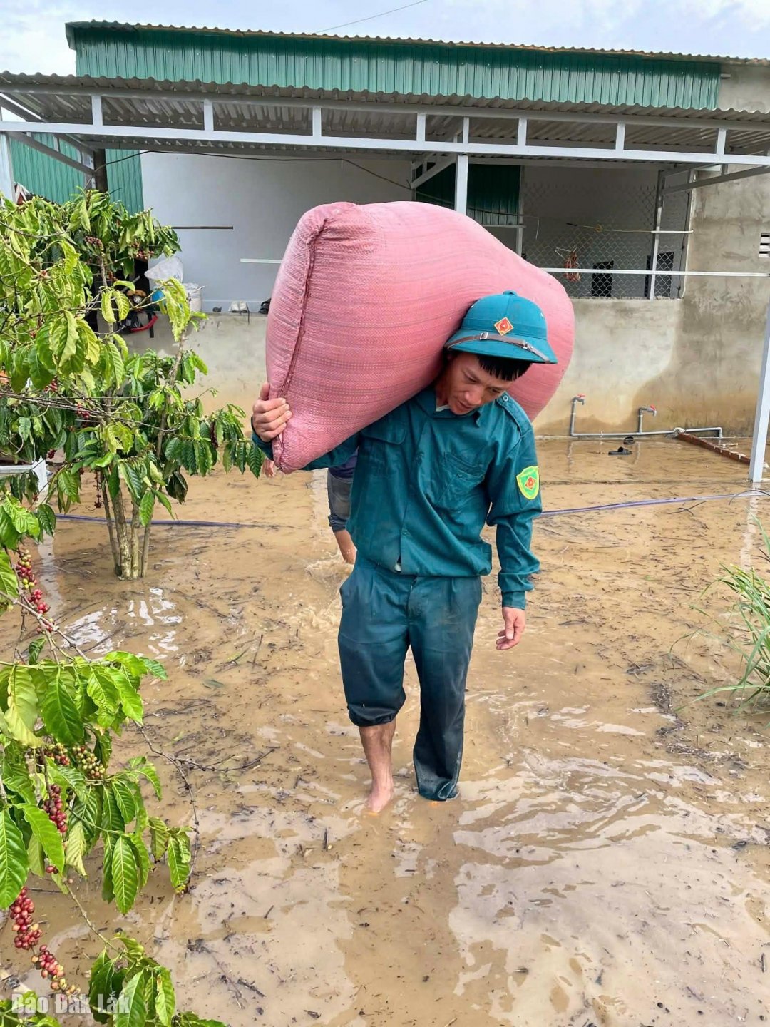 Die Miliz der Gemeinde Vu Bon unterstützt die Bevölkerung beim Umzug ihrer Besitztümer aus den überschwemmten Gebieten.