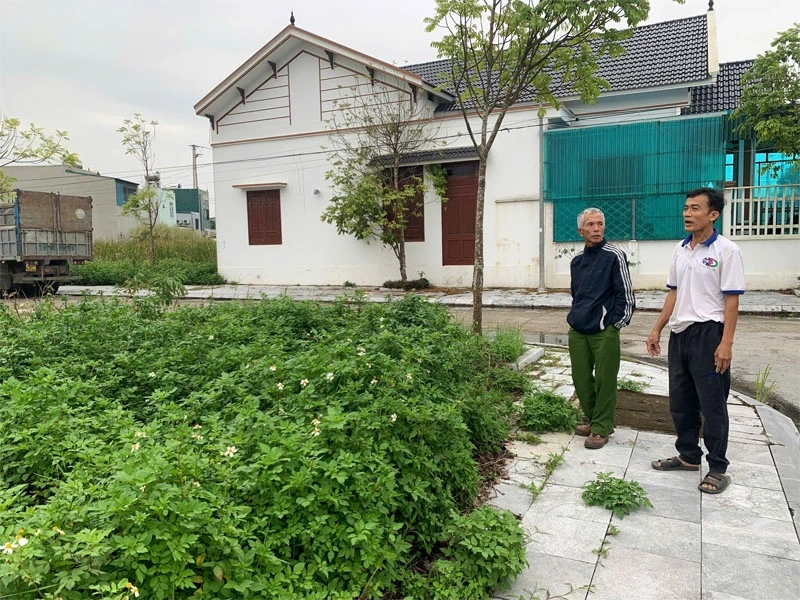 Mengapakah isi rumah yang memenangi lelongan tanah kediaman di komune Hoang Loc tidak boleh memindahkan hak guna tanah?
