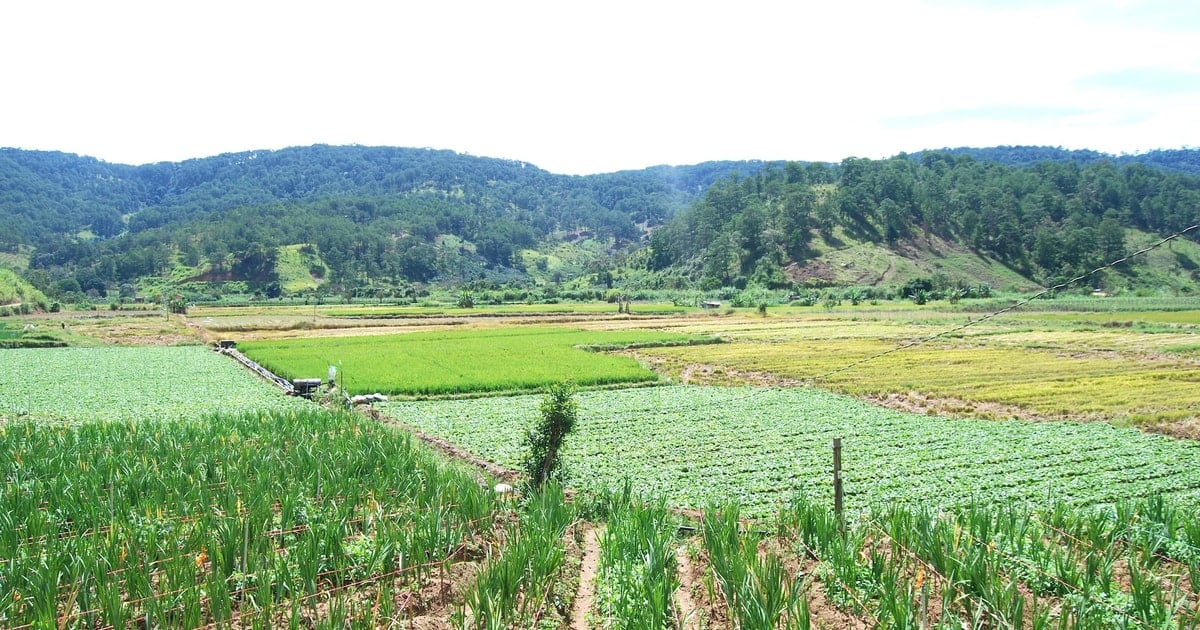 Bảo toàn và phát triển nguồn vốn Quỹ Phát triển đất