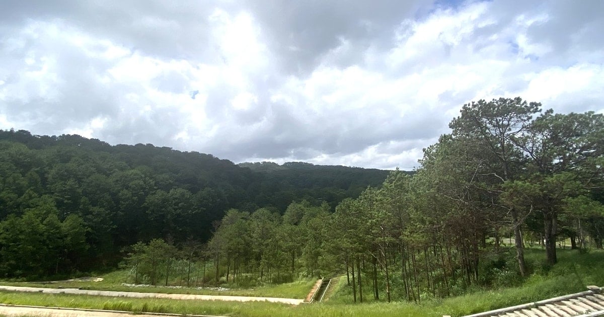 Xây dựng khung giá rừng trên địa bàn tỉnh