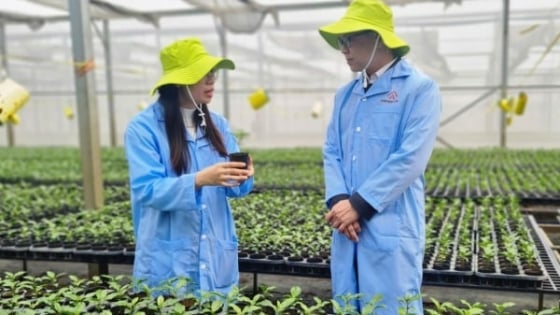 Nafoods Group hái trái ngọt nhờ nền tảng khoa học công nghệ