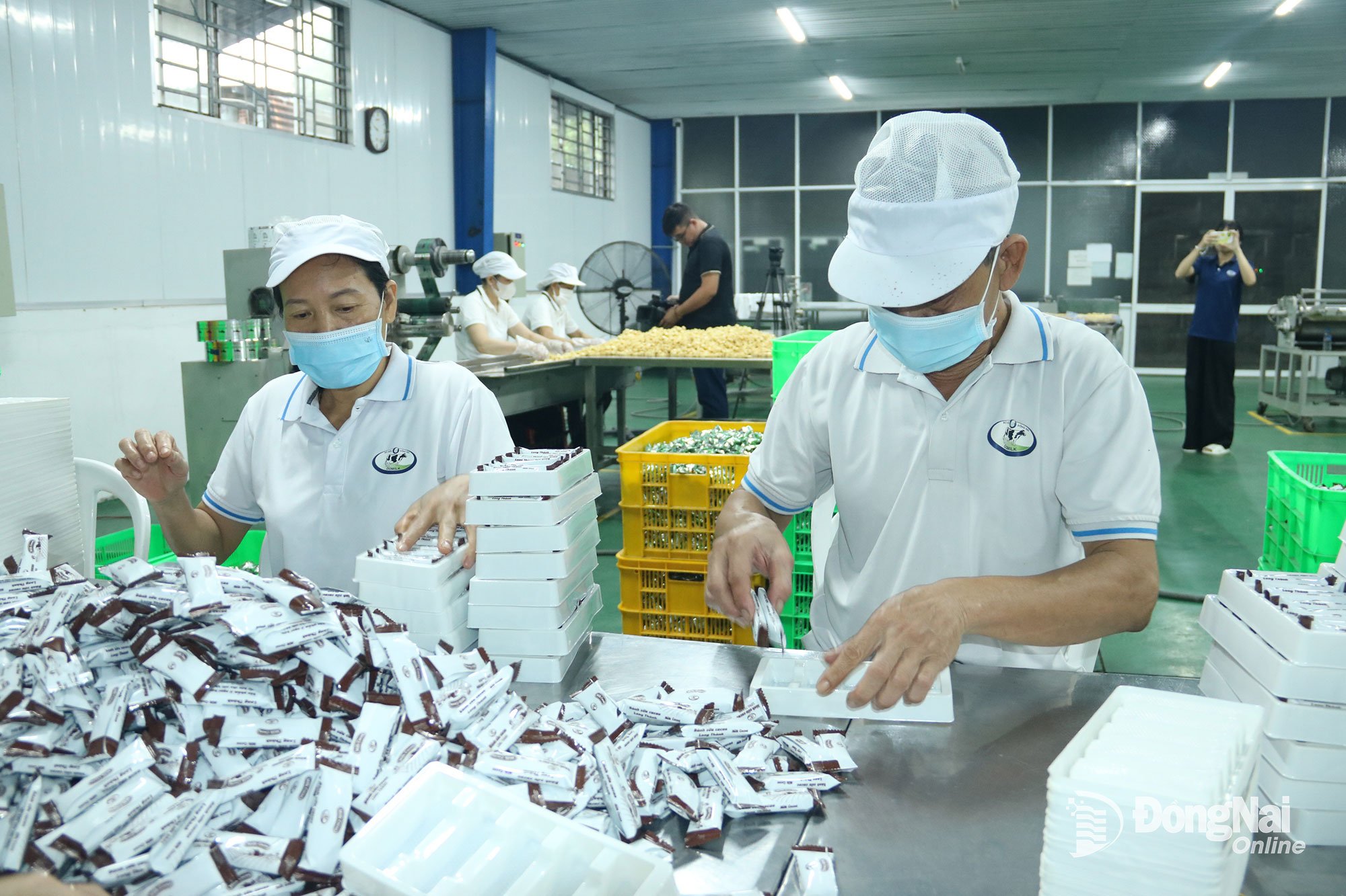 偽造品や粗悪品の撲滅を推進することで、ドミルク株式会社の製品は市場を開拓する機会が増えます。