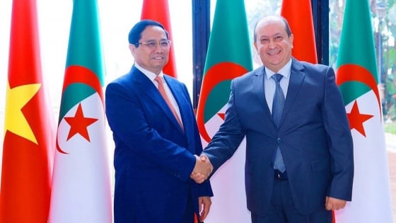 Việt Nam - Algeria nâng cấp quan hệ Đối tác Chiến lược