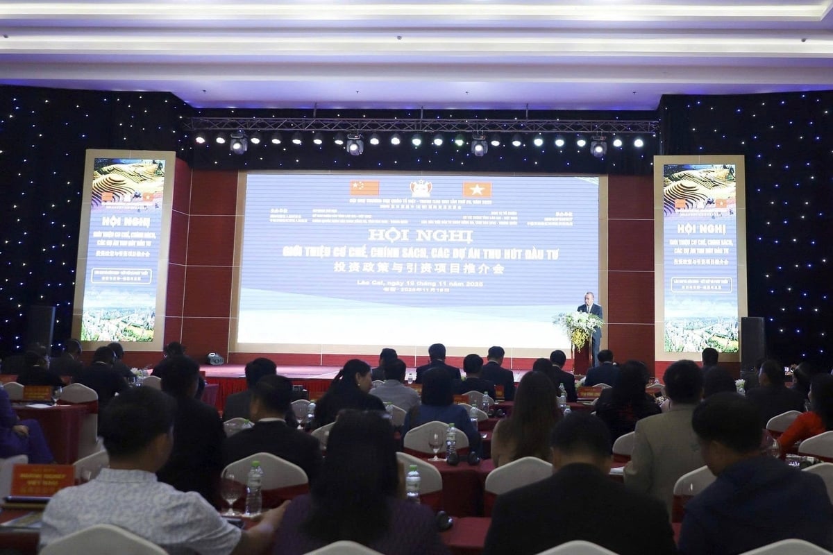 Hội nghị có sự tham gia của trên 100 doanh nghiệp, hợp tác xã, nhà đầu tư trong và ngoài nước. Ảnh: Thanh Tiến.