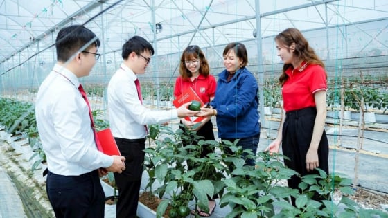 Tín dụng xanh mở rộng liên kết vùng, xây dựng chuỗi giá trị bền vững