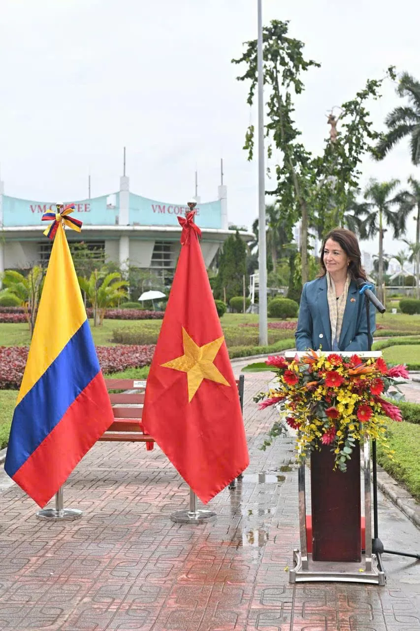 Колумбія передала Ханою 25 тамариндових дерев Colombia trao tặng 25 cây me tây cho thành phố Hà Nội