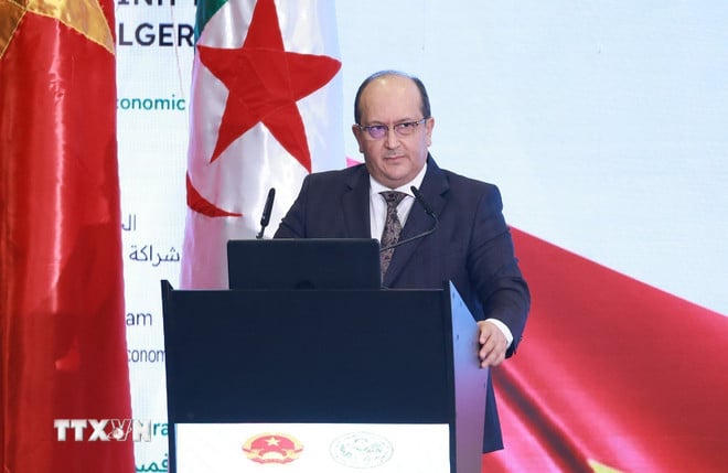 ttxvn-thu-tuong-dien-dan-kinh-te-viet-nam-algeria-13.jpg