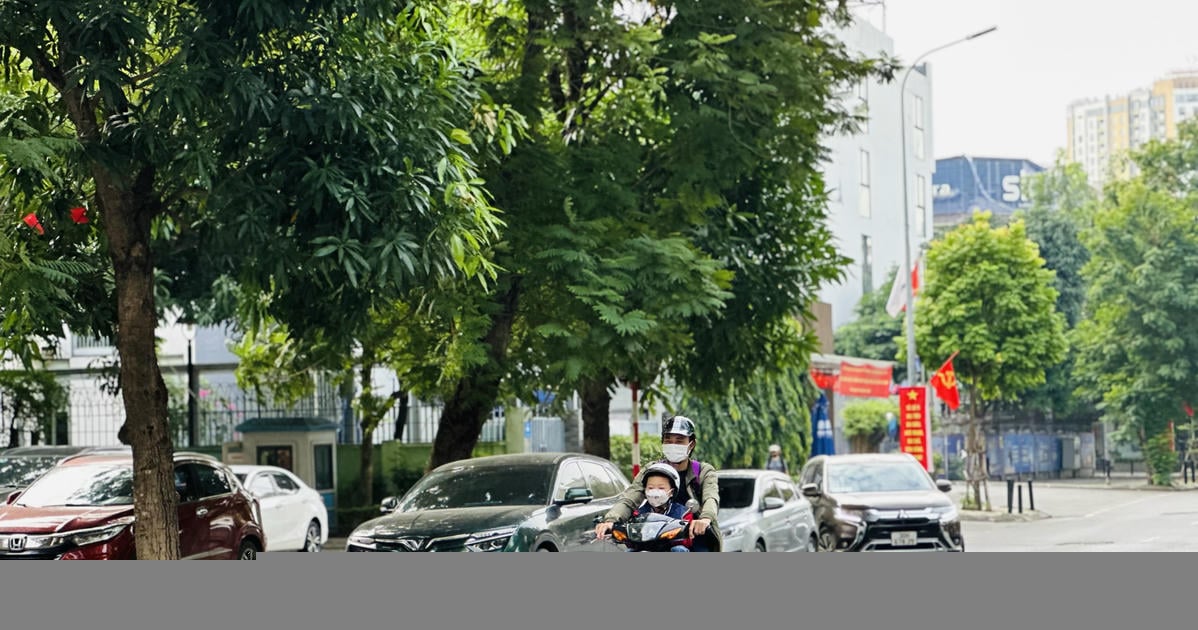 Thời tiết ngày 20/11: Bắc Bộ hửng nắng, Trung Bộ mưa lớn