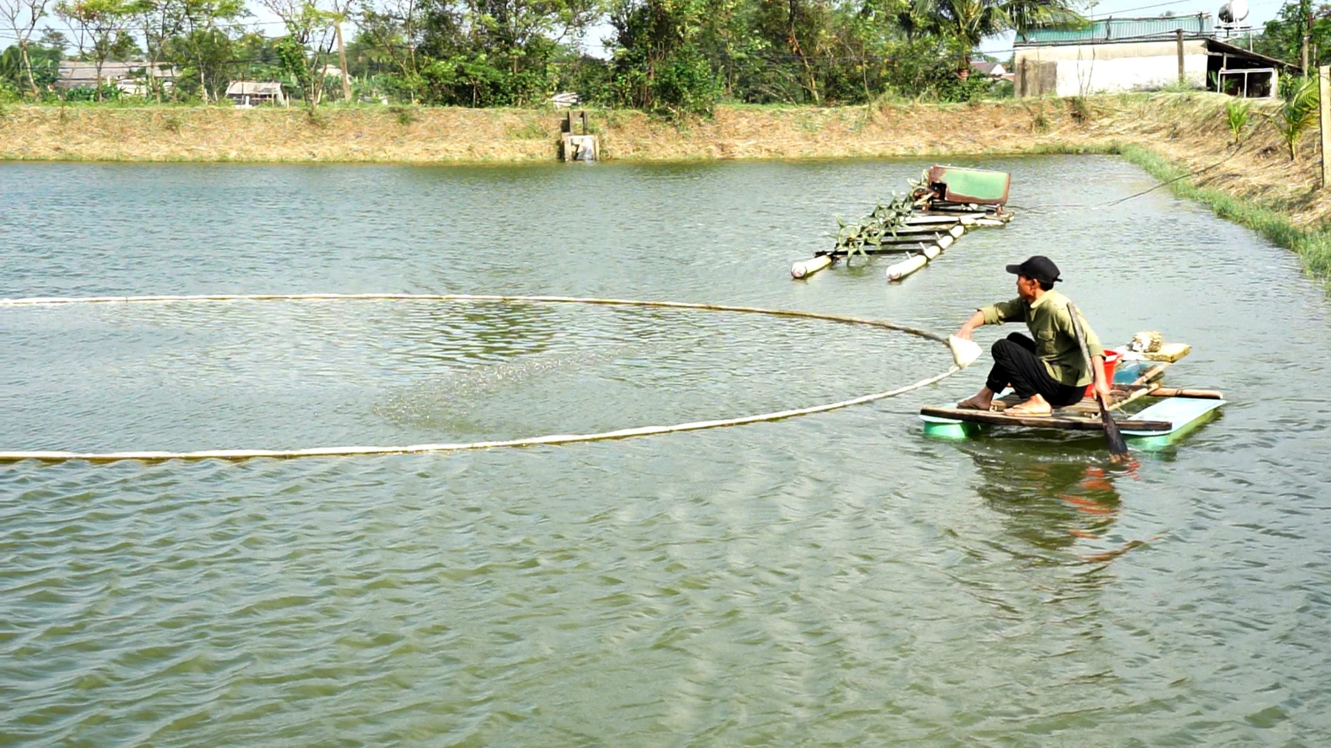 Cho cá ăn trong khung nổi để cá tận dụng được hết thức ăn   - Ảnh: L.A