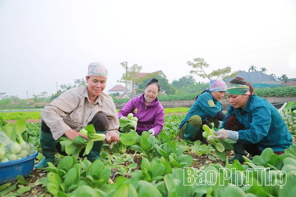 Fundamental en el desarrollo económico
