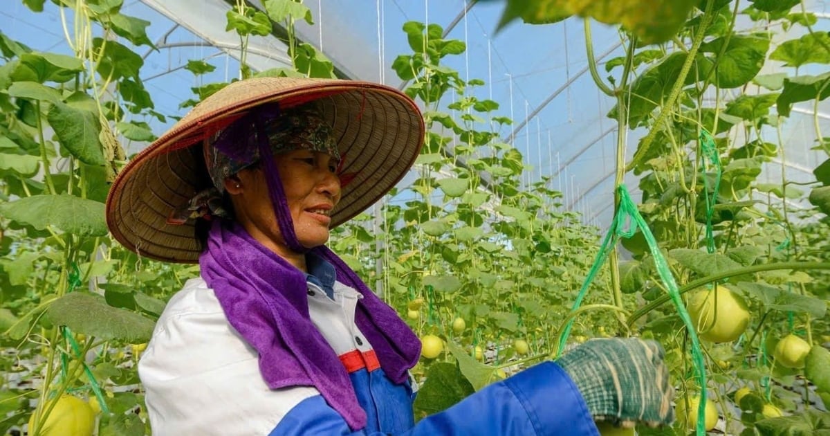 Ngành nông nghiệp và môi trường bứt phá thành trụ cột tăng trưởng xanh