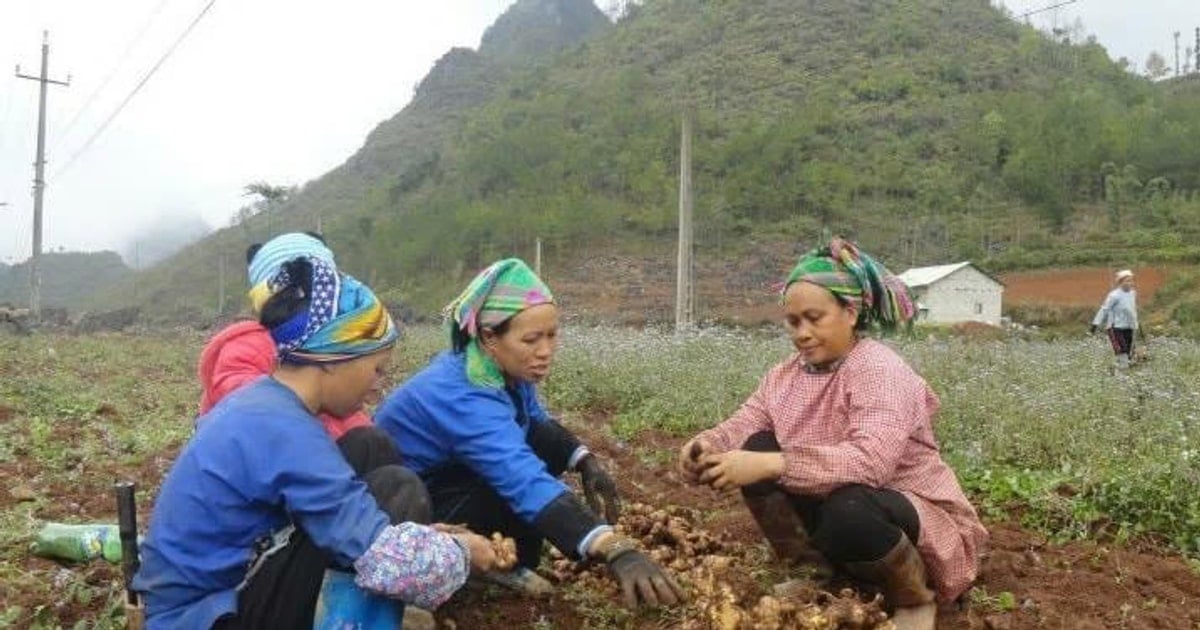 Cao Bằng tăng tốc giảm nghèo từ nguồn vốn Chương trình mục tiêu quốc gia