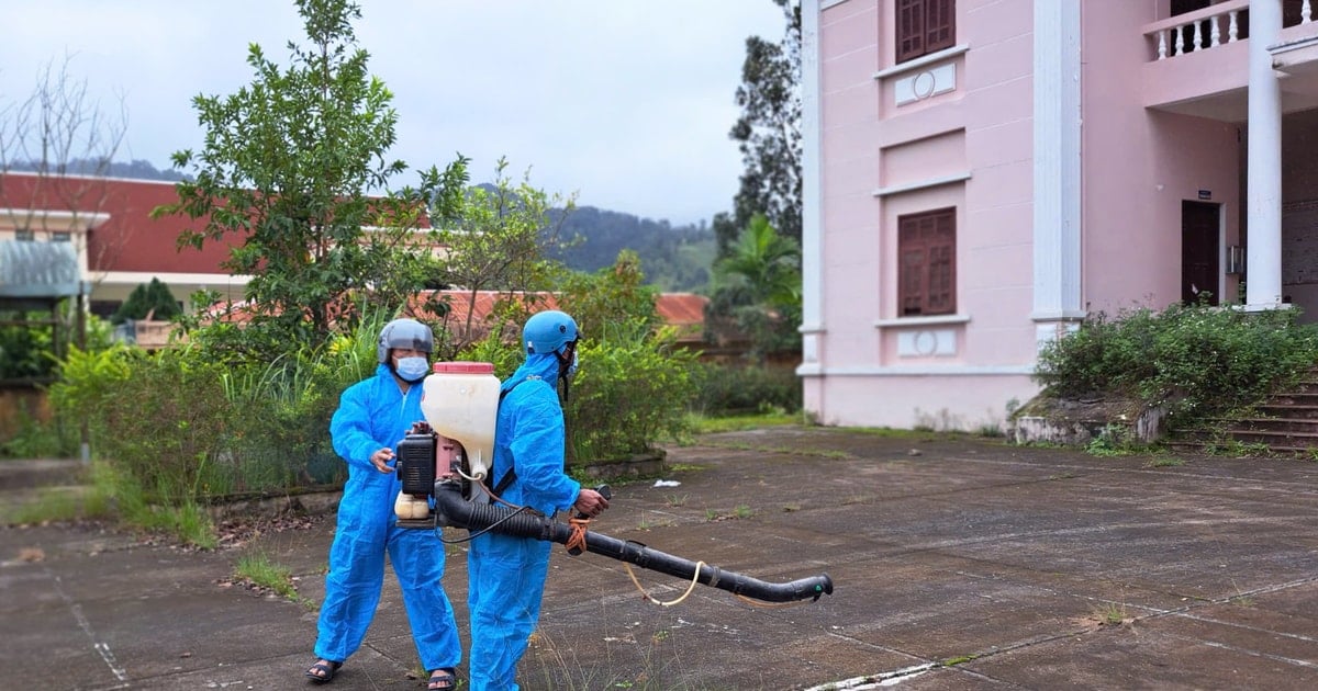 Chủ động phòng, chống dịch bệnh sốt xuất huyết