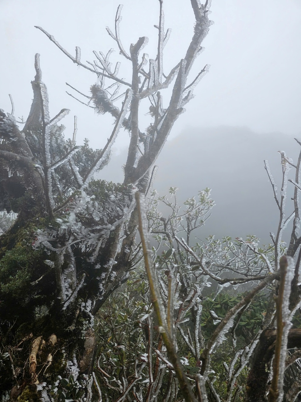 Os visitantes ficaram impressionados ao ver o gelo branco cobrindo o topo de Ta Xua, com a temperatura em apenas 0 graus Celsius - 2.