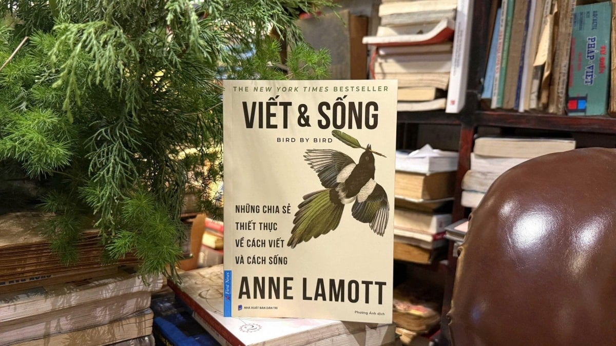  viet va song - viet lach khong chi la ky nang ma con la cach song hinh anh 6