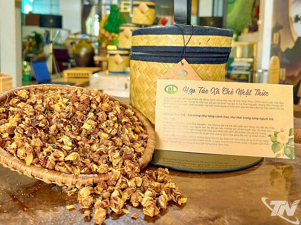 Tras ser recolectadas, las flores de camelia se tuestan, se enlatan y constituyen un regalo significativo para familiares y amigos.