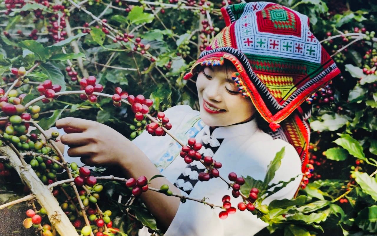 ចំណងជើងរូបថត