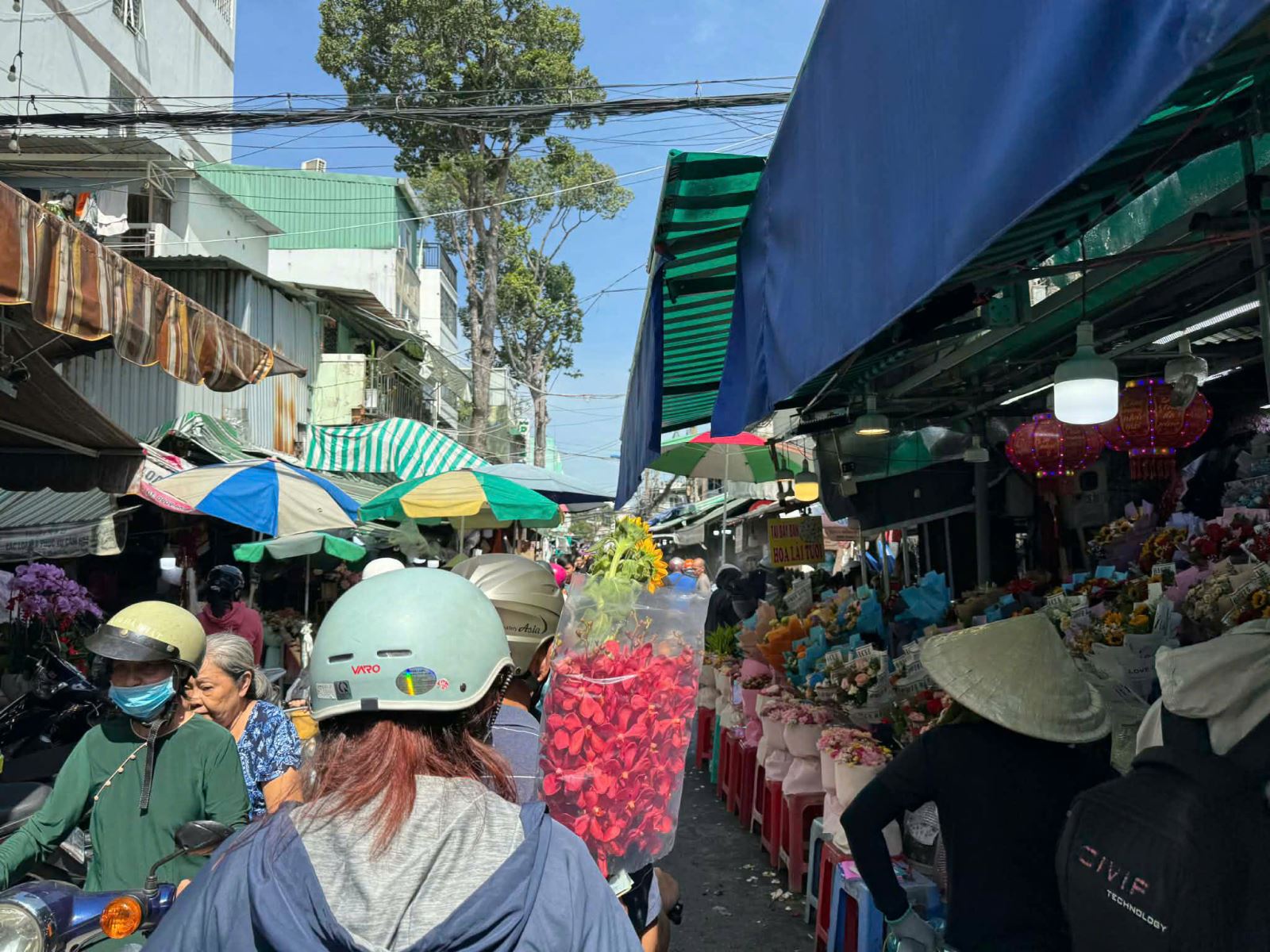 ចំណងជើងរូបថត