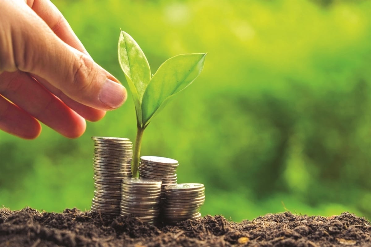 Hỗ trợ lãi suất 2% mở đường cho doanh nghiệp chuyển đổi ESG