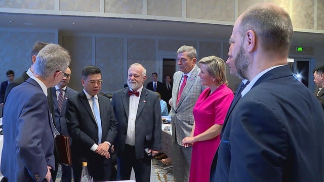 Gặp gỡ doanh nghiệp Séc và Việt Nam - Ảnh 3.