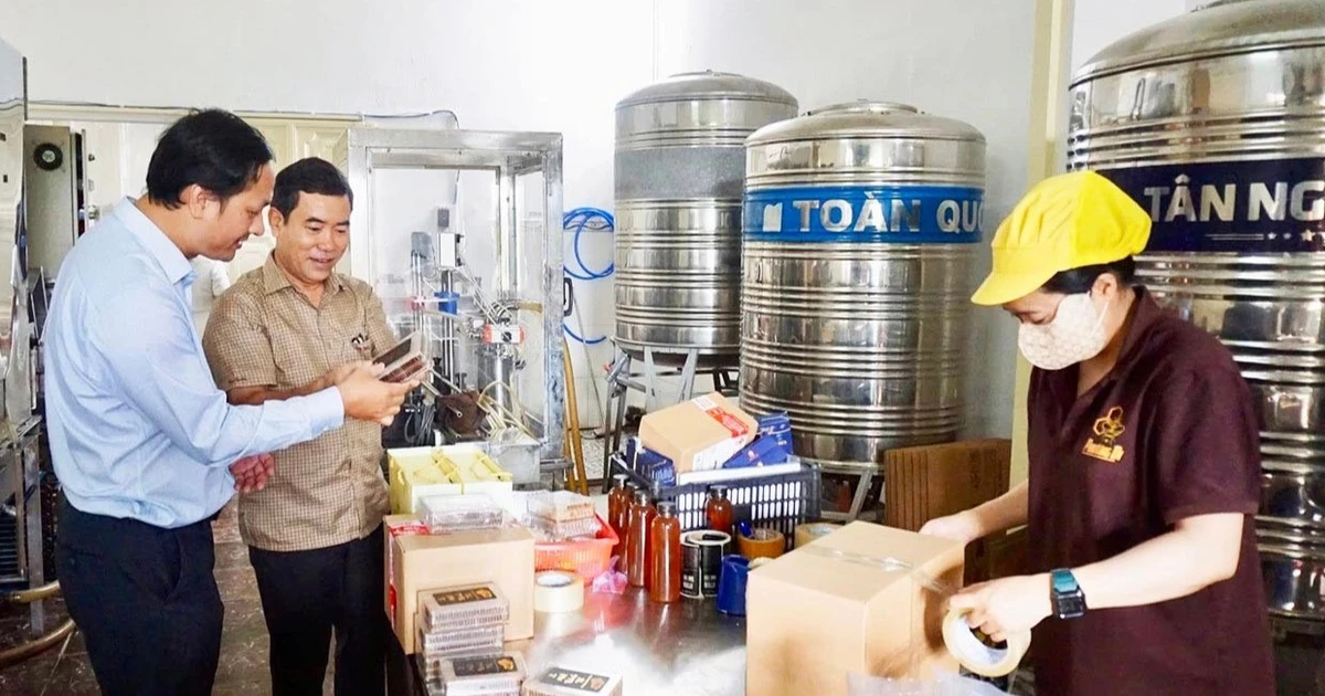 Đồng hành cùng doanh nghiệp khởi nghiệp đổi mới sáng tạo