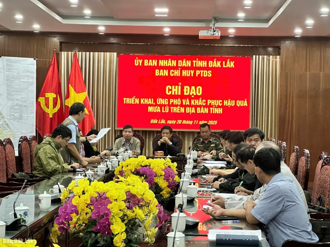 Các đại biểu tham dự cuộc họp.