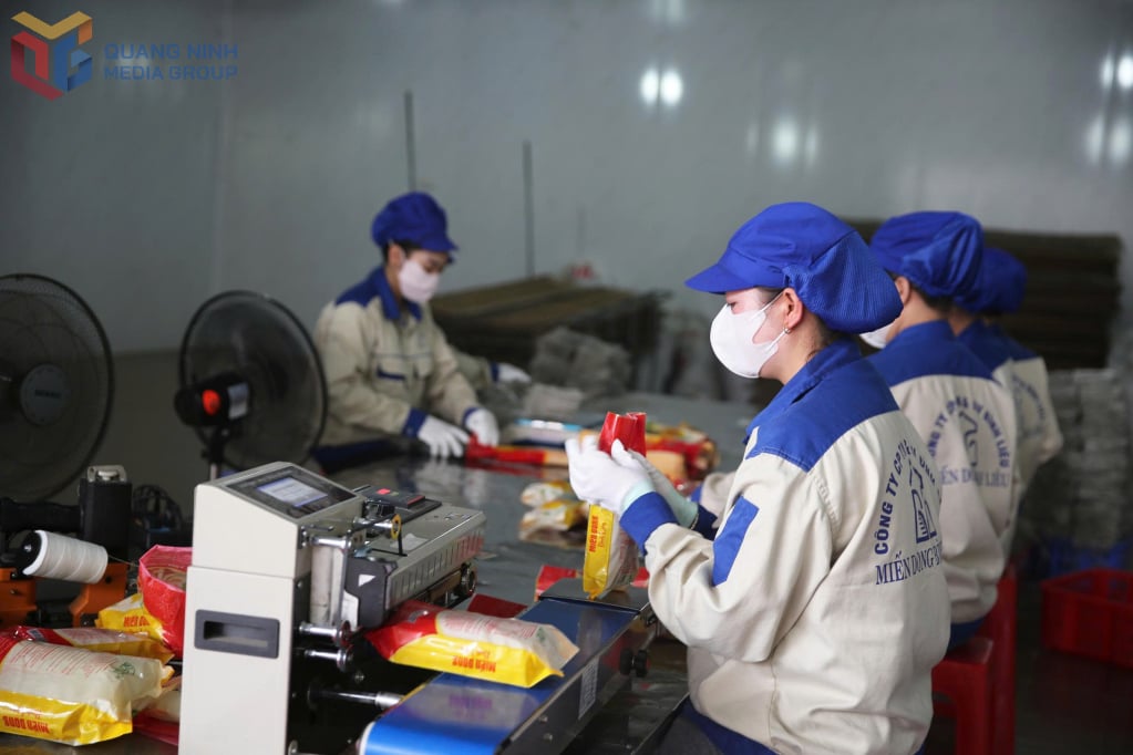 Tésztagyártási tevékenységek a Binh Lieu Kereskedelmi és Szolgáltató Részvénytársaságnál.