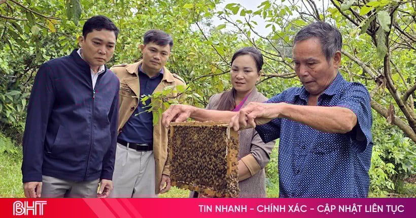 Xây dựng sinh kế từ đàn ong giúp thoát nghèo bền vững