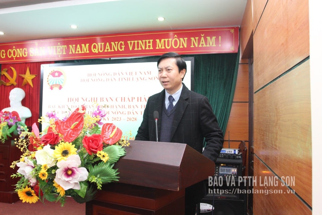 Le camarade Nguyen Hoang Tung, membre du Comité permanent du Parti provincial et président du Comité provincial du Front de la patrie vietnamienne, a pris la parole lors de la conférence.