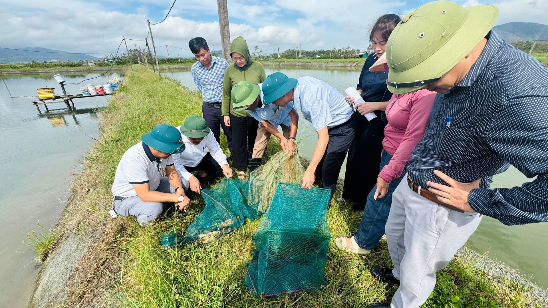 Nuôi cua biển 2 giai đoạn giúp giảm thiểu rủi ro, mang lại lợi nhuận ổn định cho người nuôi. Ảnh: Ánh Nguyệt.