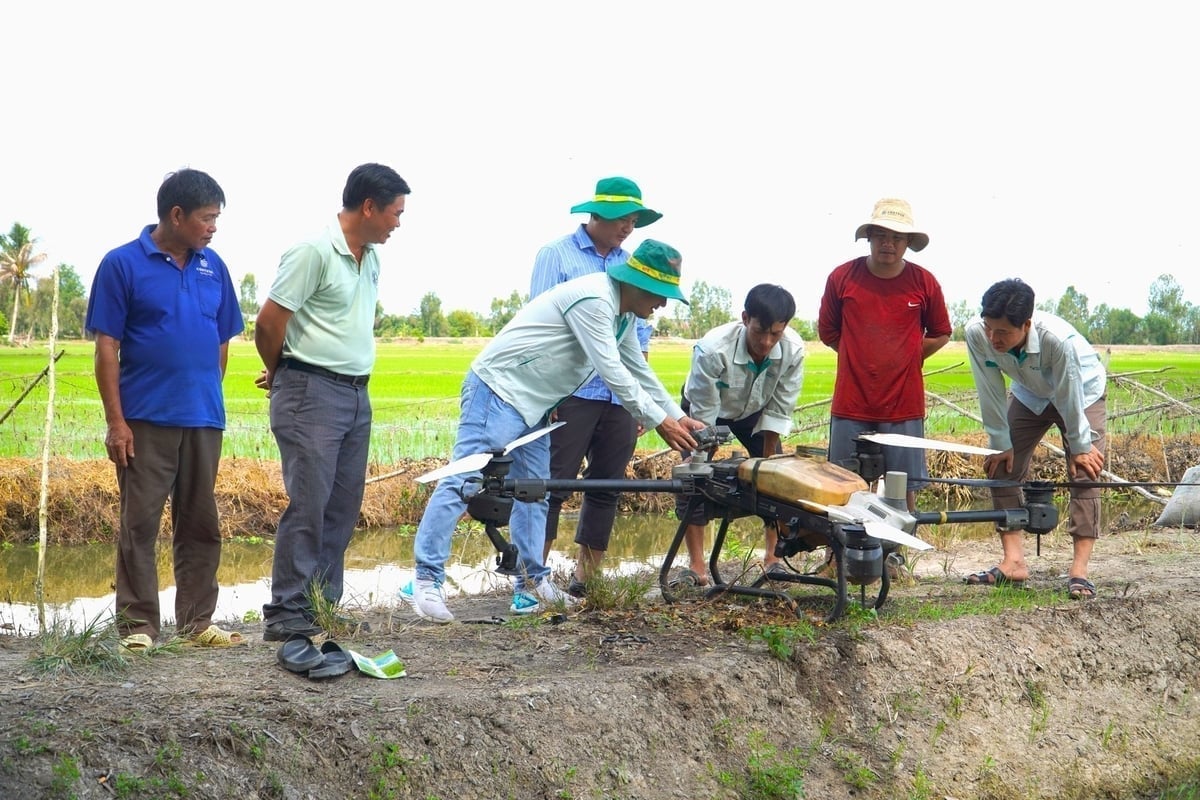 הגברת השימוש בטכנולוגיה היא אחד הפתרונות לקידום חקלאות ירוקה. צילום: בה טאנג. Tăng cường ứng dụng công nghệ là một trong những giải pháp đẩy mạnh nông nghiệp xanh. Ảnh: Bá Thắng.