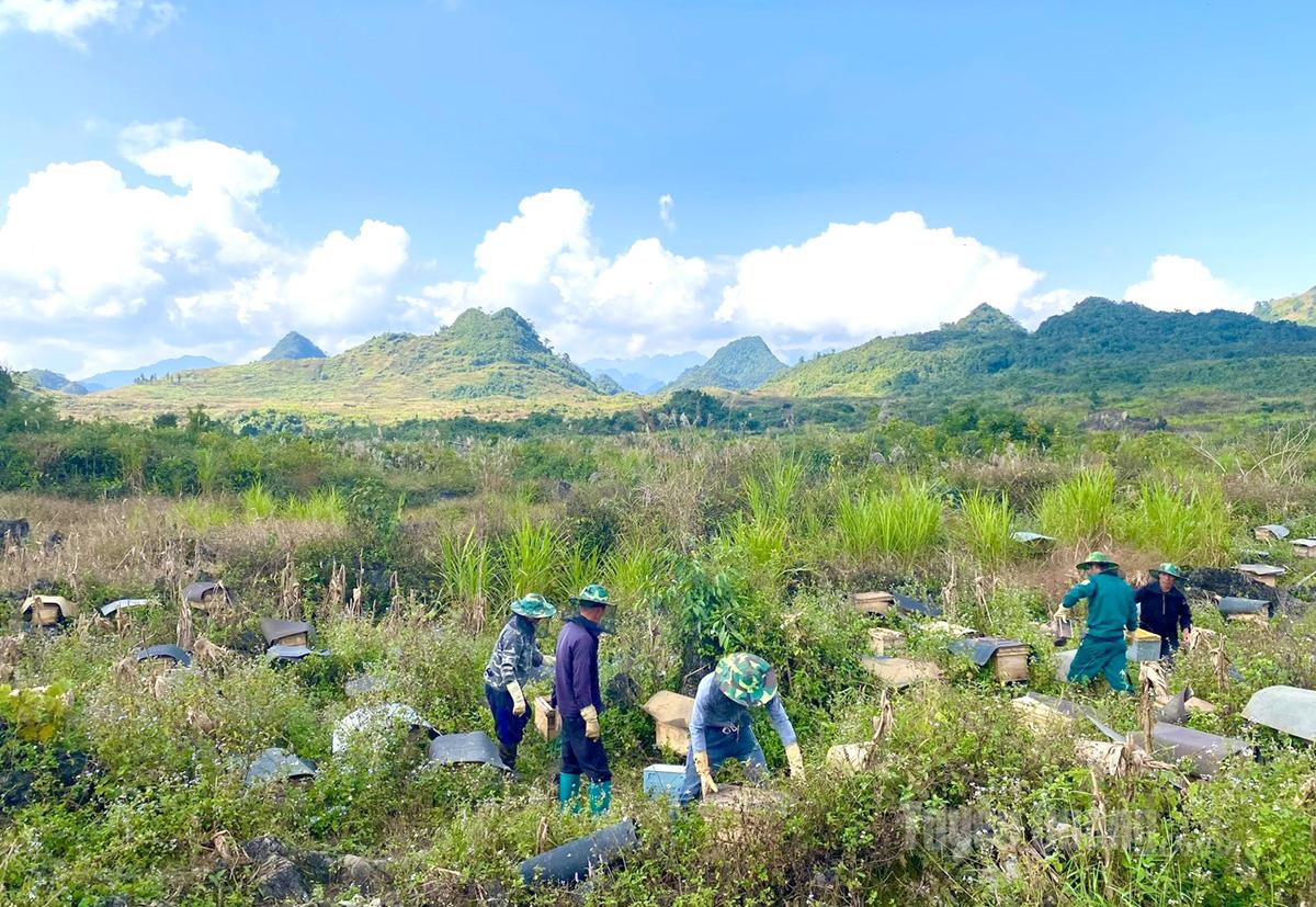 هضبة الحجر هي أرض خاصة، موطن للنحل الأصلي ونباتات النعناع ومنتجات عسل النعناع الشهيرة.