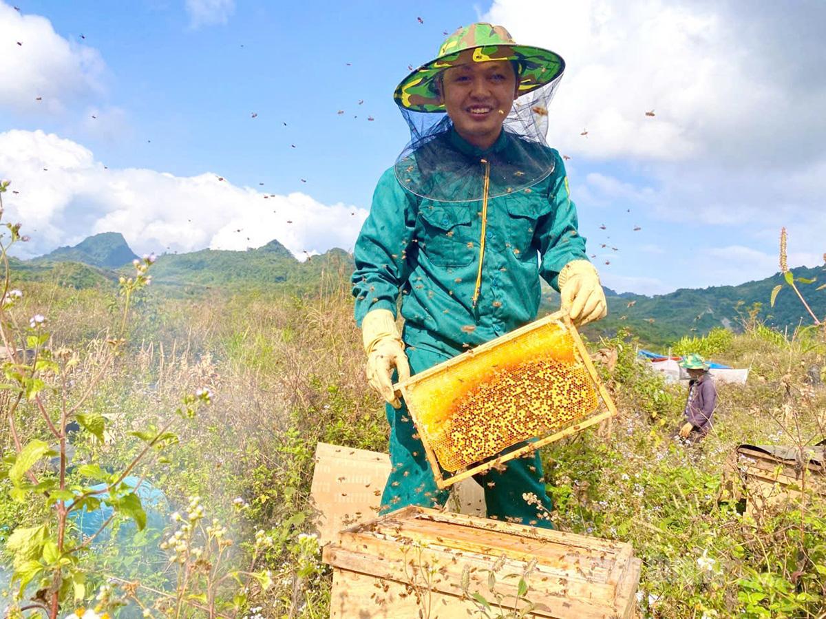 توفر تربية النحل كفاءة اقتصادية عالية واستدامة للعديد من أسر تربية النحل في هضبة دونج فان ستون.