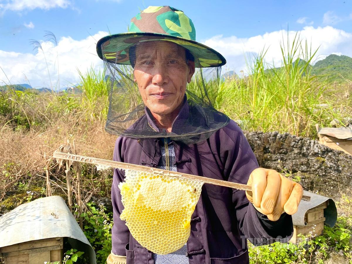 يبدو عسل النعناع جذابًا جدًا ولا يمكننا إلا أن نحاول تجربته.