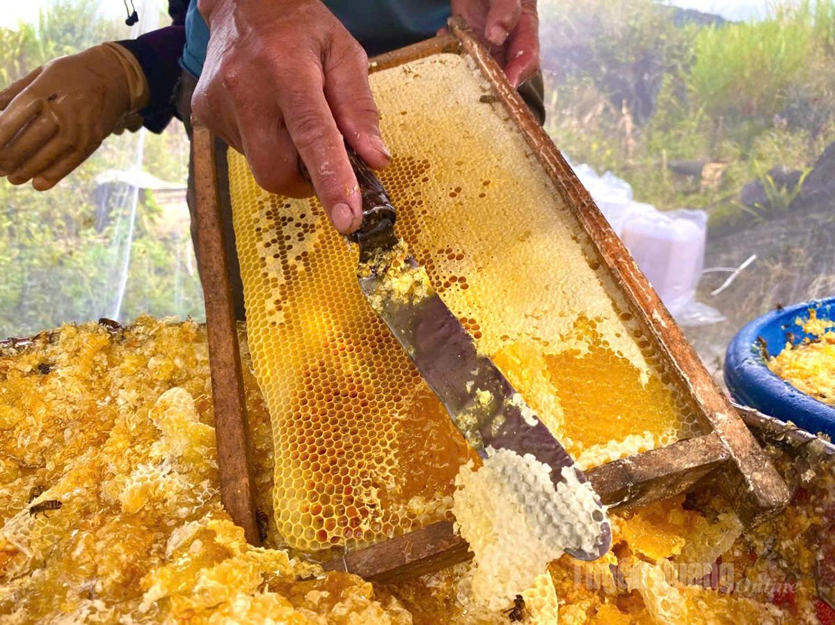 عسل النعناع هو مثل 