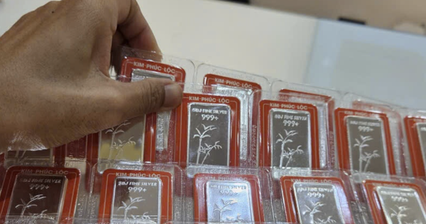 Giá bạc hôm nay 20-11: Bạc Phú Quý gây bất ngờ