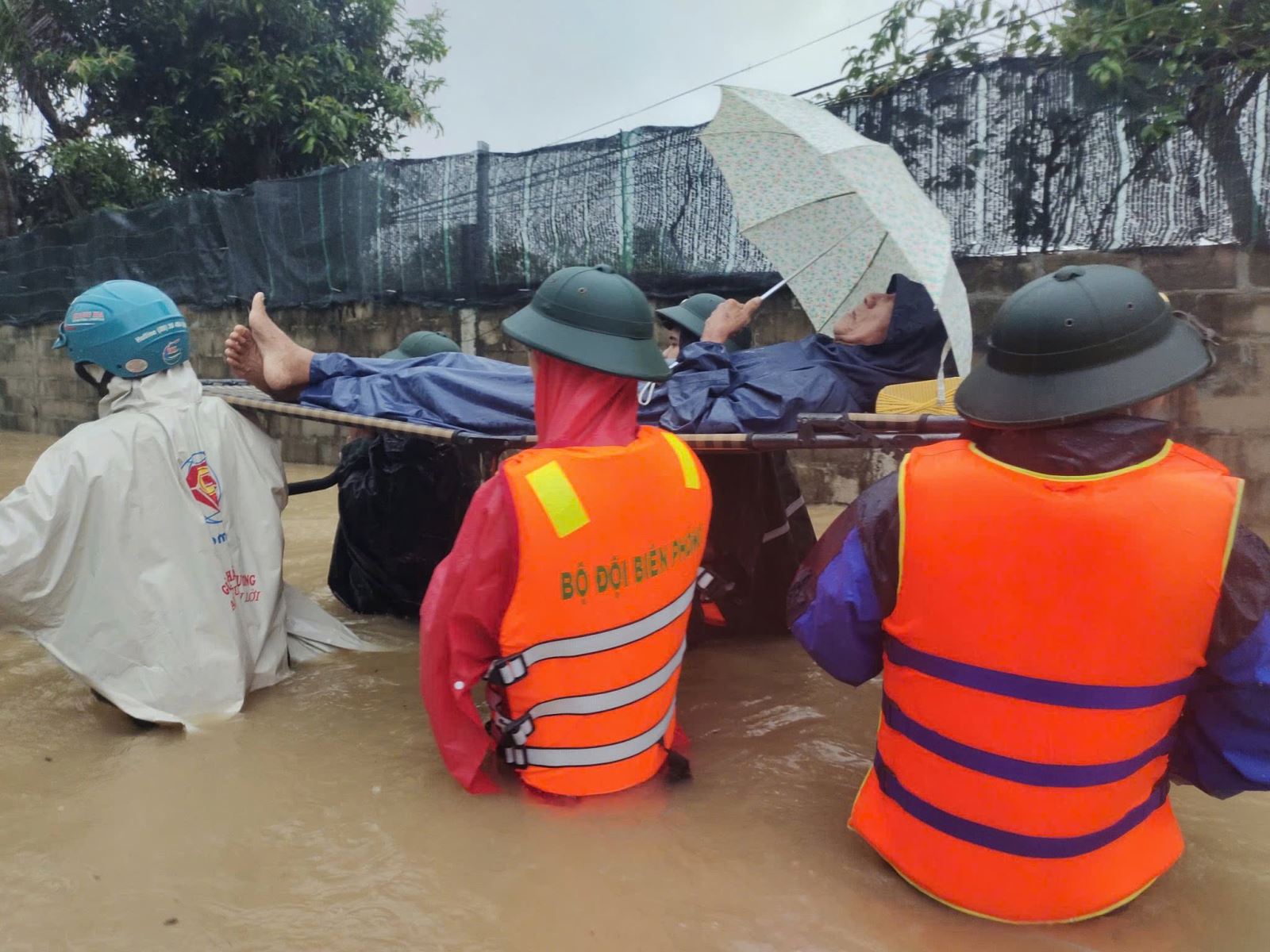 चित्र परिचय