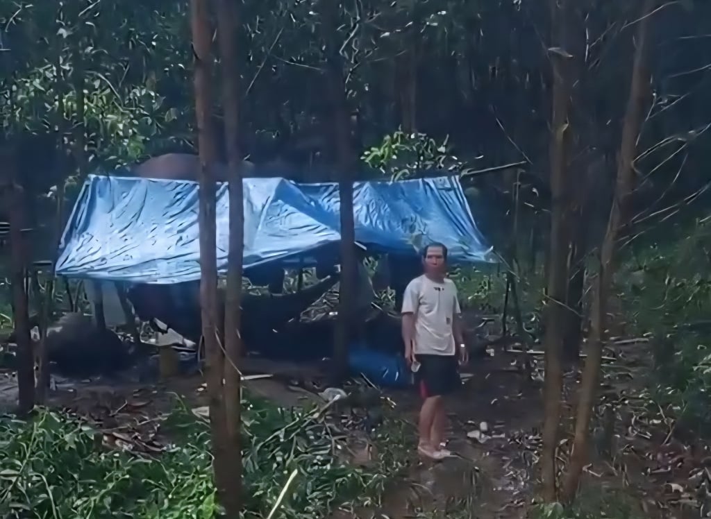 Skupina občanů provincie Quang Ngai pracujících za mzdu byla kvůli povodním izolována uprostřed lesa v provincii Khanh Hoa.