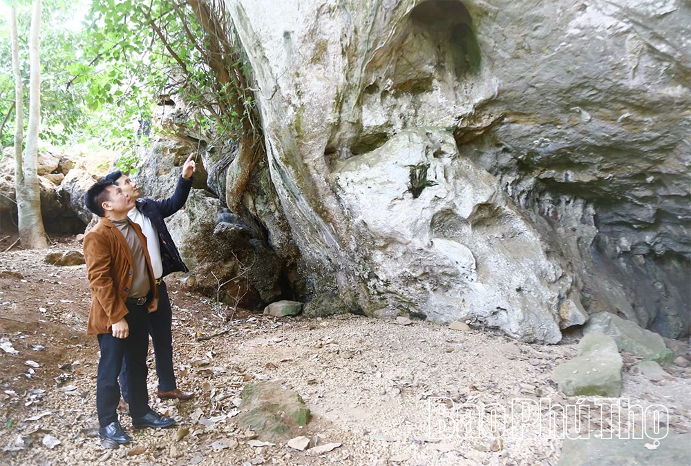 រៀបចំផែនការអភិរក្ស ស្ដារ និងជួសជុលសារីរិកធាតុជាតិពិសេស Hang Xom Trai និង Mai Da Lang Vanh