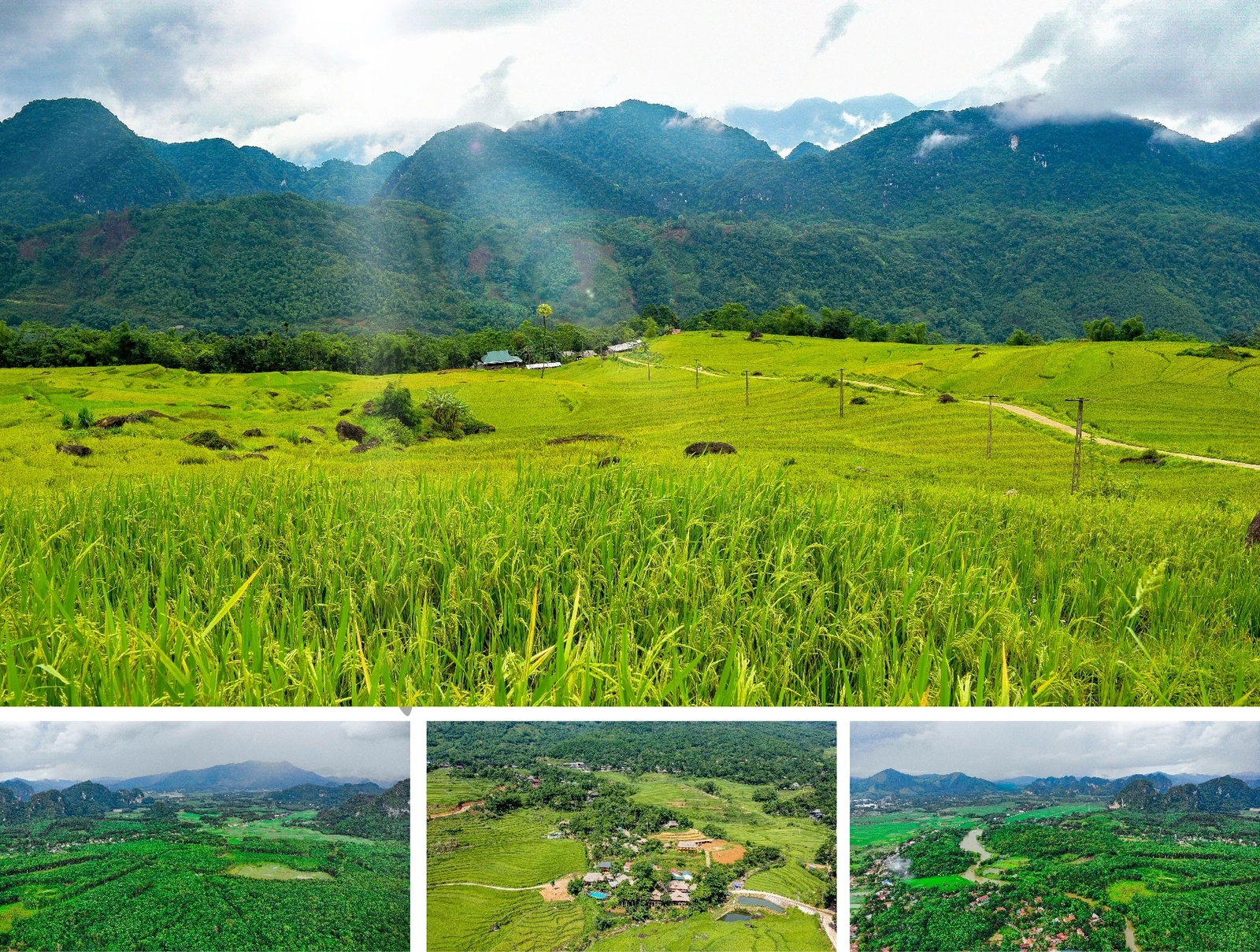 [Revista Eletrônica] 