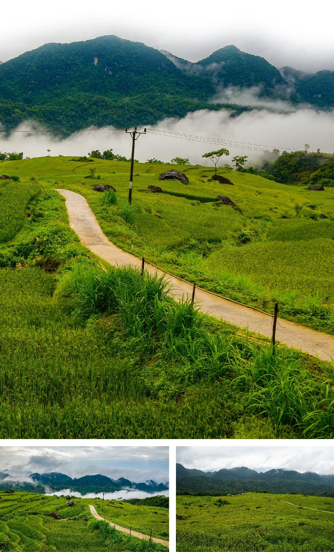 [Revista Eletrônica] 