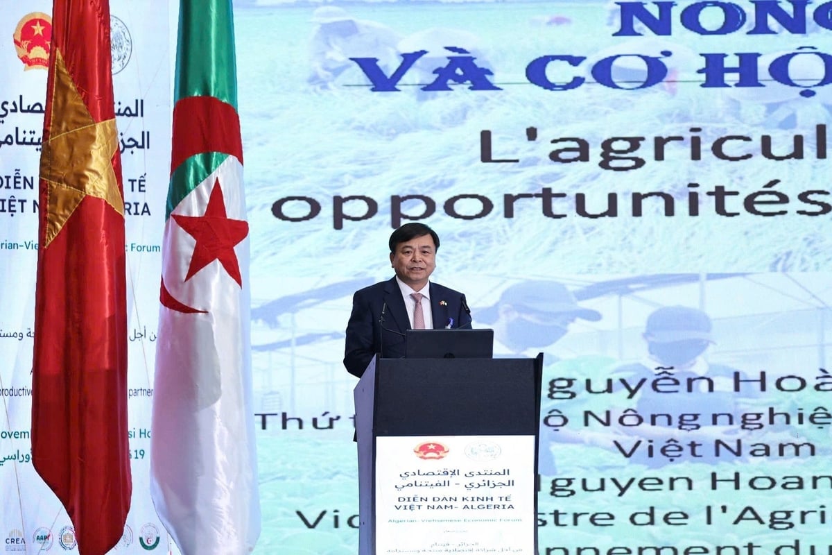 Thứ trưởng Bộ Nông nghiệp và Môi trường Nguyễn Hoàng Hiệp chia sẻ tầm nhìn hợp tác nông nghiệp Việt Nam - Algeria tại Diễn đàn. Ảnh: TTXVN.