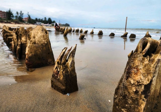 Tàu cổ phát lộ ở bờ biển Hội An: Nguy cơ hủy hoại nếu chậm can thiệp - Ảnh 4.