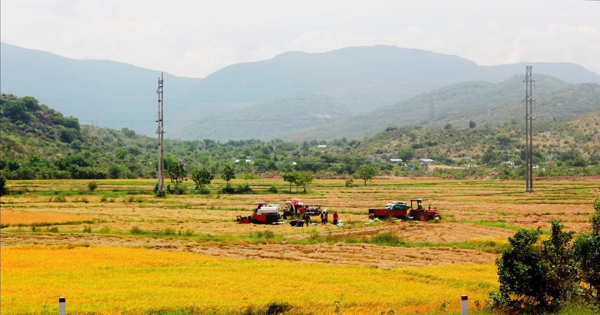 Vĩnh Hảo xây dựng nông thôn mới nâng cao