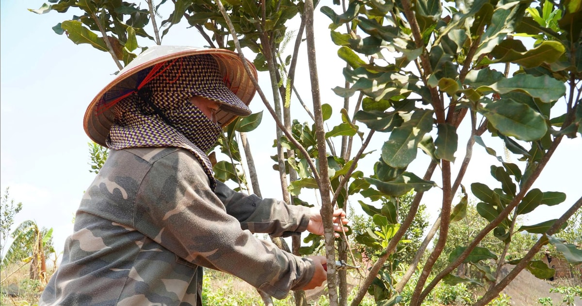 Xác định mô hình kinh tế phù hợp - mấu chốt để giảm nghèo bền vững