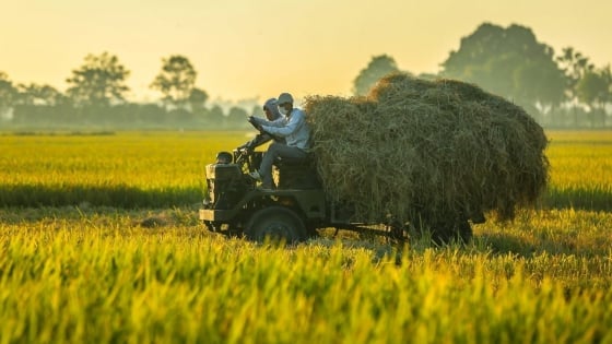 Hà Nội quy định xây dựng tại các vùng nông nghiệp tập trung