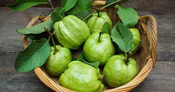 Nhóm người nên cân nhắc việc ăn ổi, để tránh khiến cơ thể gặp rắc rối không mong muốn