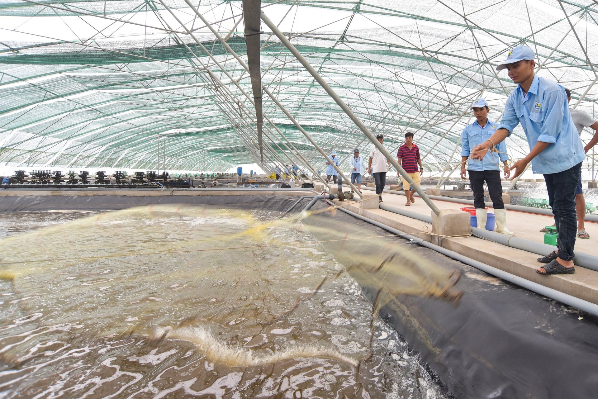 Người nuôi cần nâng cao nhận thức và tuân thủ quy trình an toàn sinh học. Ảnh: Hồng Thắm.