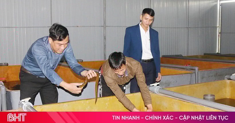 Người dân Sơn Hồng phát triển đa dạng mô hình kinh tế, tạo sinh kế bền vững